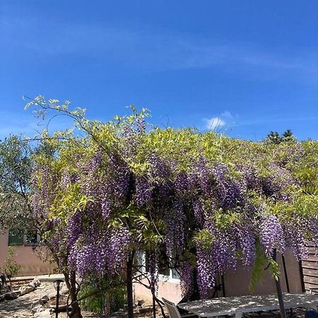 Le Clos Des Olivettes Sainte-Croix-de-Quintillargues ภายนอก รูปภาพ